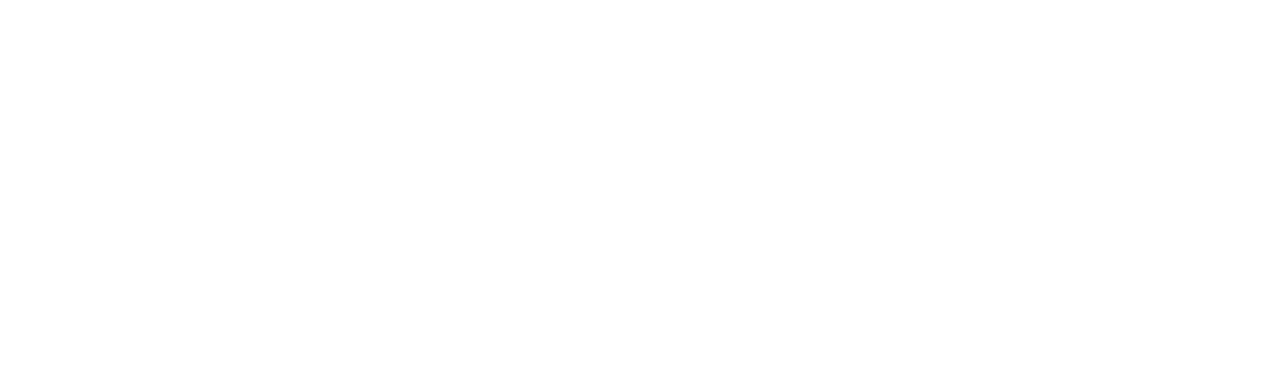logo-sergio-tacchini@4x